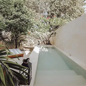 Boutique Kaa , Mérida Mexique